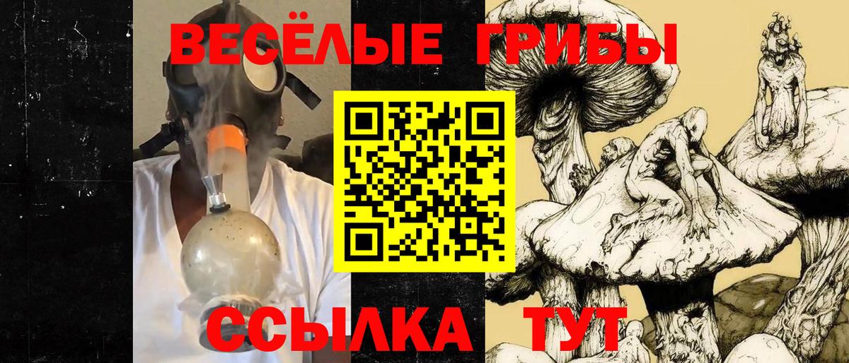 Воркута  Псилоцибиновые грибы MAGIC MUSHROOMS  Вход с VPN 