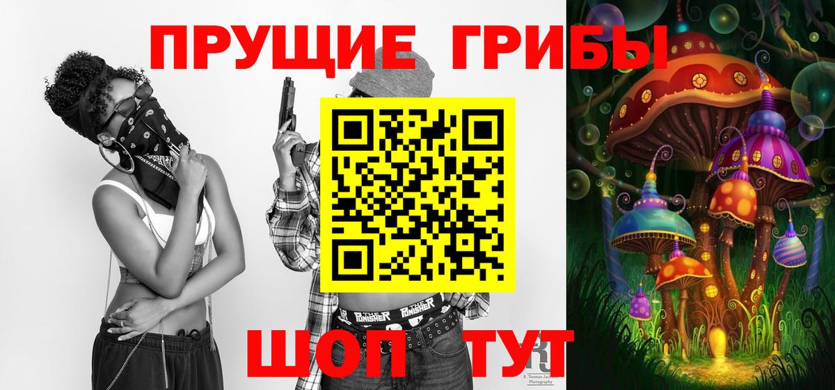 Галлюциногенные грибы Cubensis Воркута
