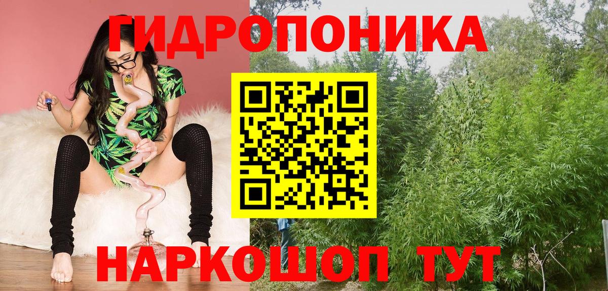 Воркута  Шишки марихуана SATIVA & INDICA  Шишки марихуана ГИДРОПОН  Каннабис AK-47  Вход с VPN  Шишки марихуана марихуана 